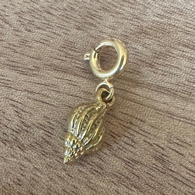 Charm "Schneckenmuschel" (in Gold oder Silber)